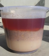 eco trap grease trap treatment demonstration after image